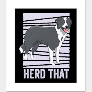 Funny Border Collie Dog Herd That Posters and Art